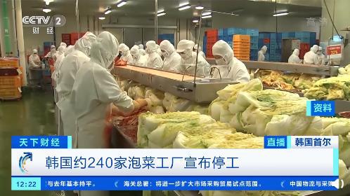一棵白菜62元 韓國超3成泡菜工廠停工,部分經(jīng)銷商增加從中國進口的泡菜量